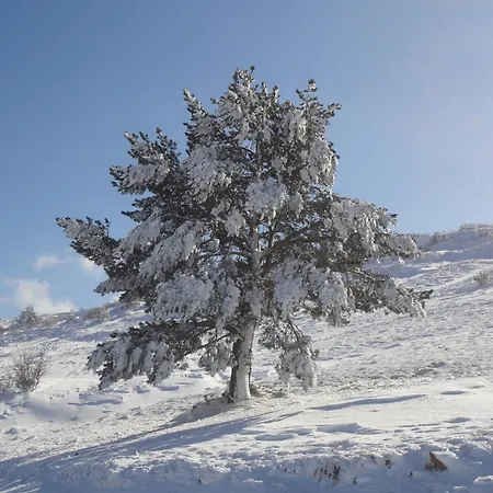 Hotel Hospederia Palacio De 4*