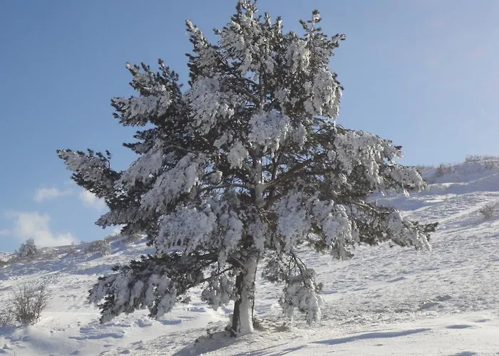 Отель Hospederia Palacio De 4*